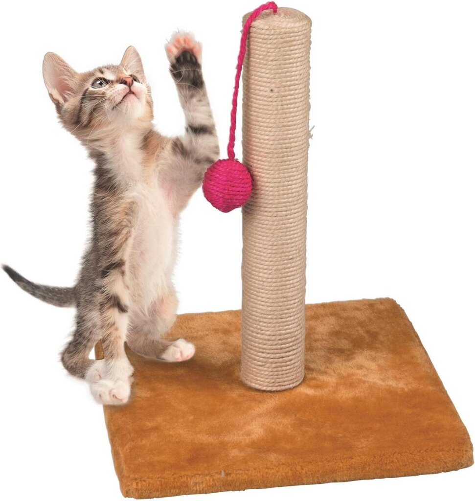 Pet Toys Wooden Scratching Post with Ball 30 x 35 cm