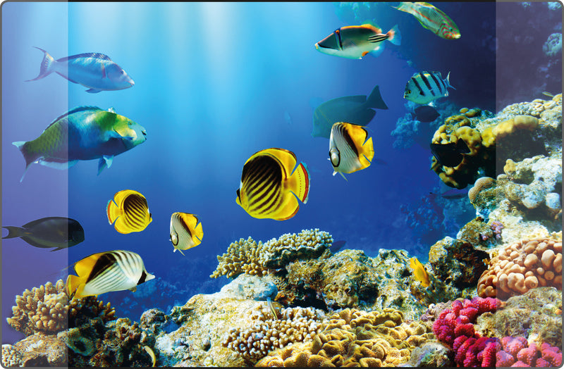 Kangaro Desk Mat PP 38x58cm Aquarium Design K-0014D115