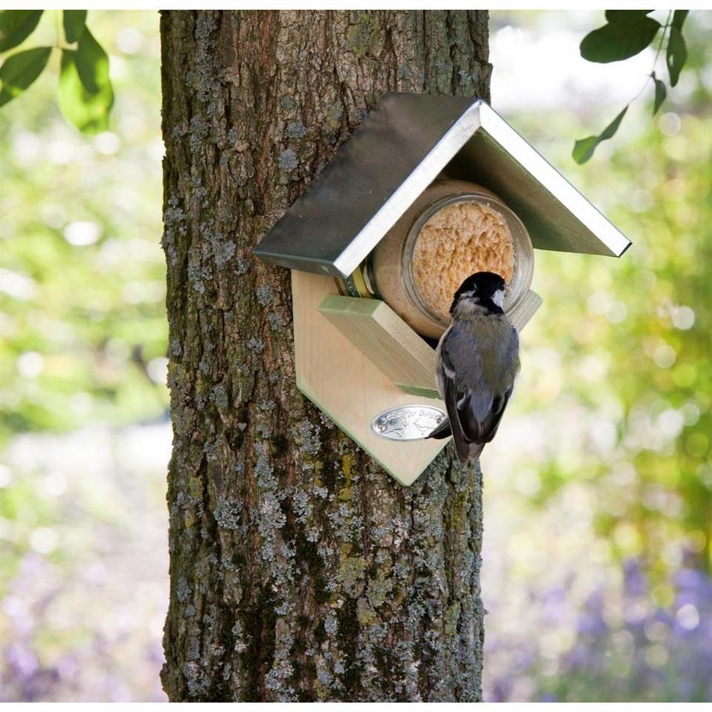 Best for Birds Wooden Peanut Butter House
