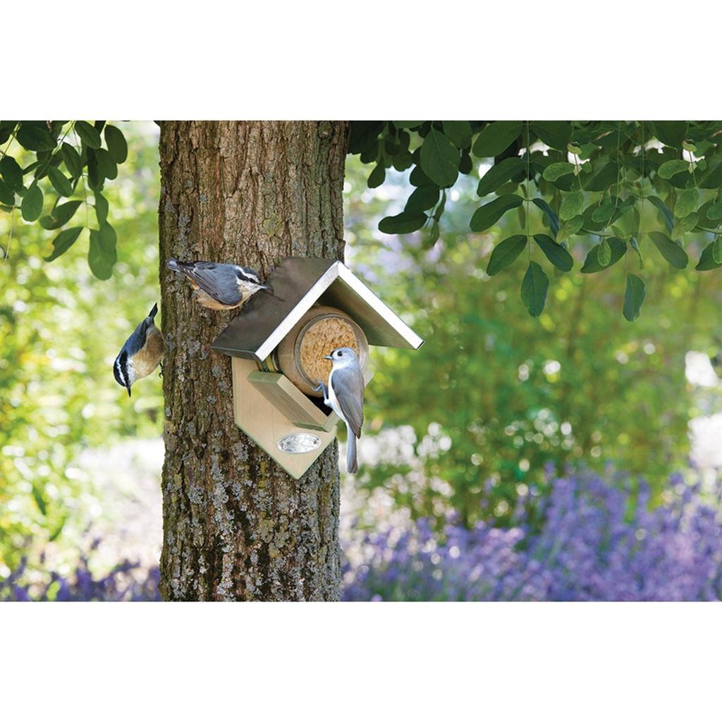 Best for Birds Wooden Peanut Butter House