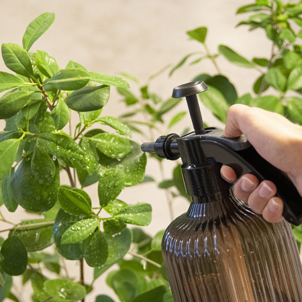 Esschert Design Plant Sprayer 2.2 L Assorted