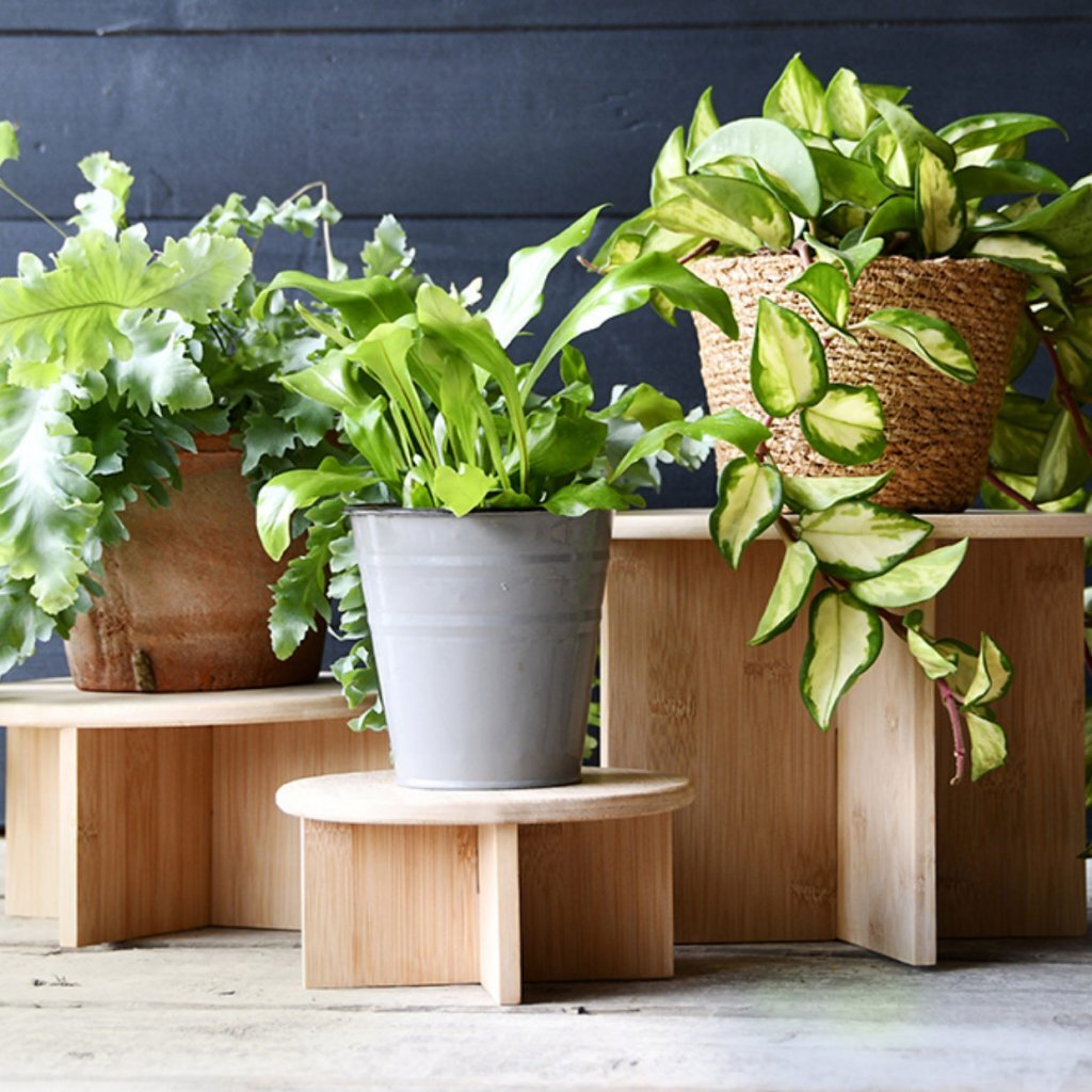 Esschert Design Bamboo Plant Table 25x19.5 cm