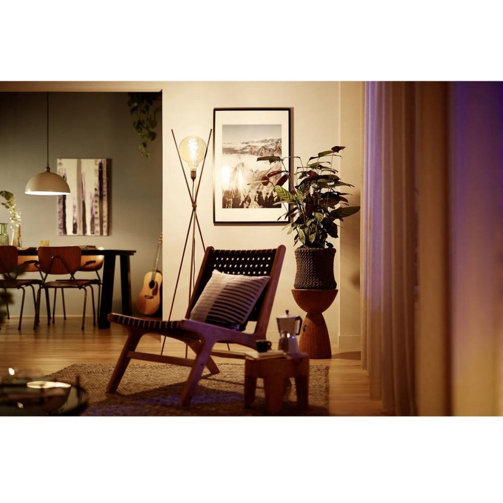 Philips Vintage LED Dimmable Globe G95 E27 60W Amber Glass