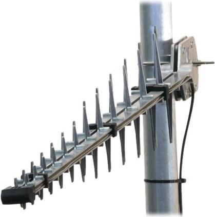 Pos 1 — EAN 6009693810556