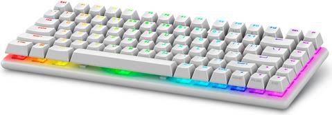 Alienware Pro Wireless Gaming Keyboard USB + RF Wireless + Bluetooth White (PRO-KB-W-WW)