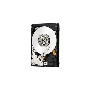 IBM Lenovo Hard Drive 300 GB Hot-Swap 2.5" SFF SAS 10000 RPM for BladeCenter HS23 x35XX 49Y6173
