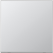 Jung AL 2990 Control Rocker AL2990