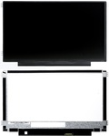 CoreParts 11.6" LCD HD Matte Display Replacement MSC116H30-173 M