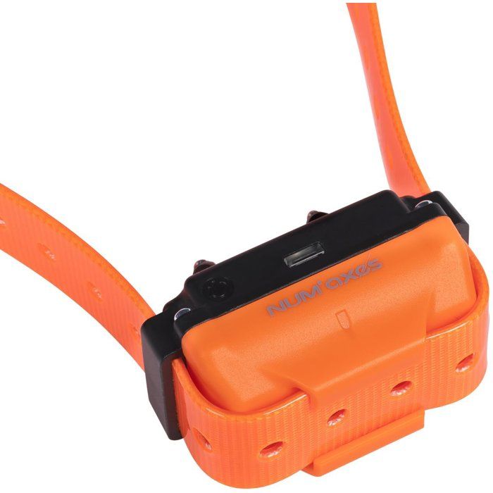 Ensemble complet de dressage - NUM'AXES - CANICOM R-500 - Pour chien - Rechargeable - Orange - 500 metres