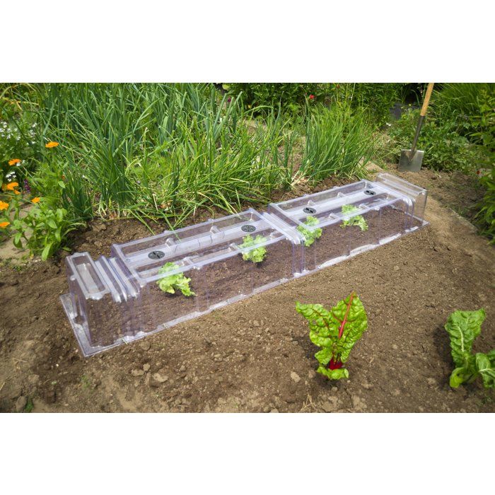 Nature End Cap for Modular Forcing Tunnel - 22 x 21.5 x 40 cm