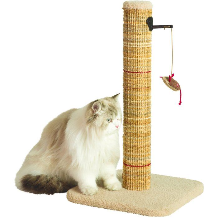 ZOLUX Cat Scratching Post - Sisal - With Hanging Toy - 60 cm - Boreal - Beige