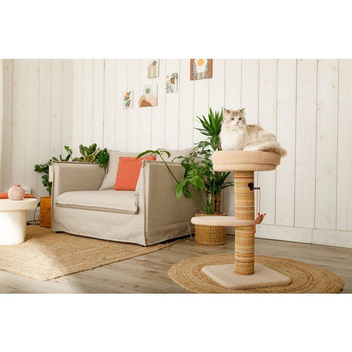 ZOLUX Cat Tree 70 cm - Stable, Resting Area, Mouse Toy, Sisal - Boreal - Beige