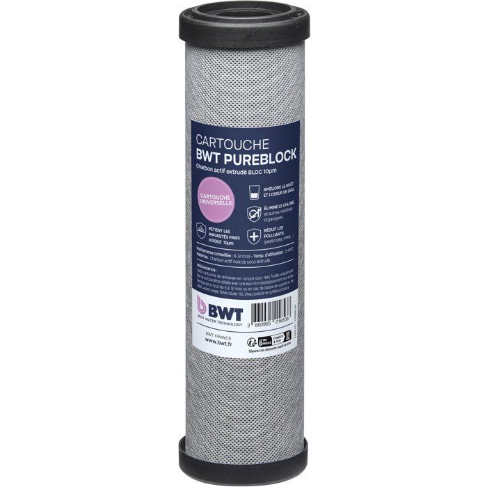 BWT Duplex Filtration Station - PURACTIV - ARCTIC 20 µm + PUREBLOCK