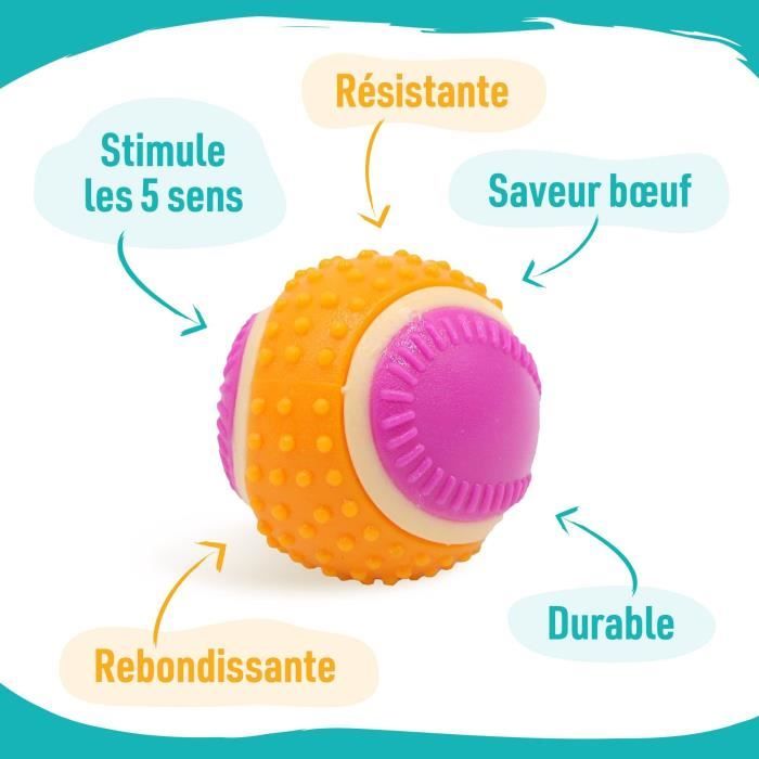 AIMÉ Dog Ball - 5 in 1 Beef Flavor - 6 cm Diameter