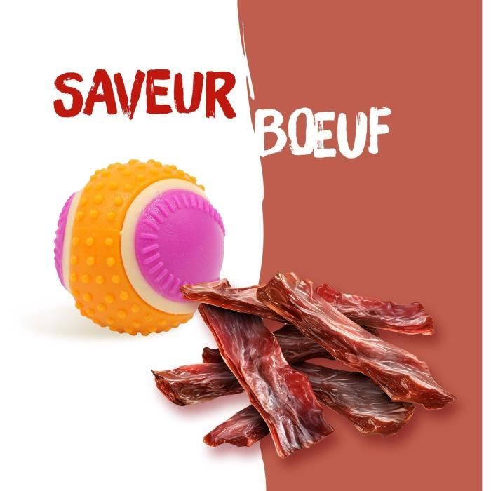 AIMÉ Dog Ball - 5 in 1 Beef Flavor - 6 cm Diameter