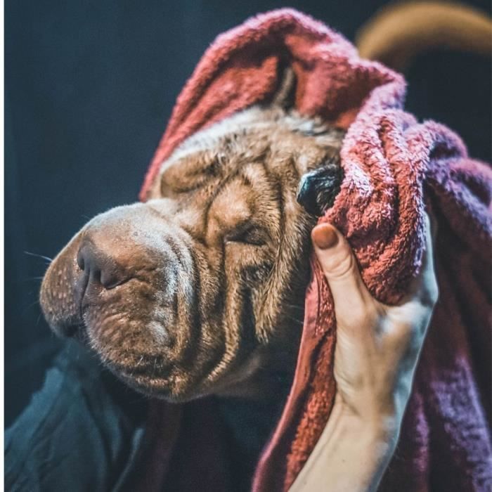 Vetocanis Shampoo - Anti-Parasite Shampoo for Cats and Dogs