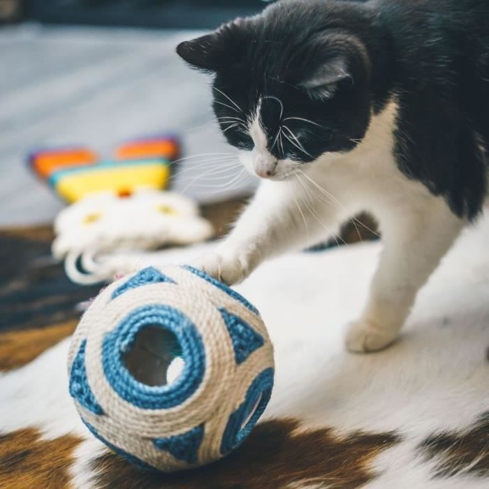 XXL Scratching Post - AIMÉ - Blue ball 1 ball 11.5 cm