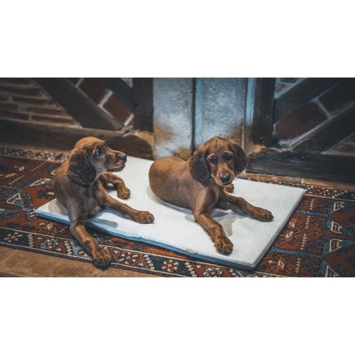 Dog Bed - AIME - Flat Mat - Size L - 80 x 60 x 3 cm