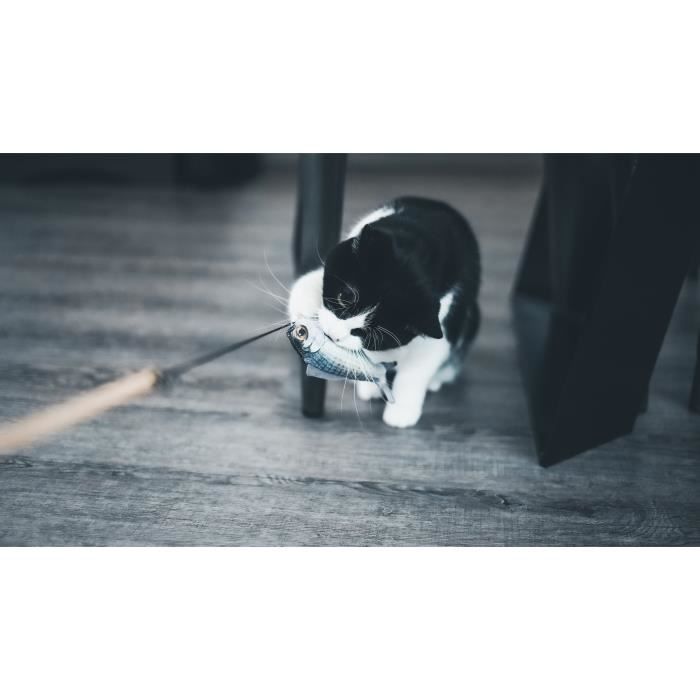 AIME Cat Toy - Fishing Rod - Wooden Stick, 15 cm Fish