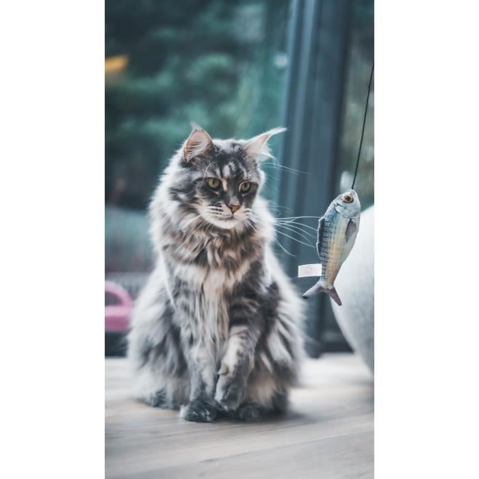 AIME Cat Toy - Fishing Rod - Wooden Stick, 15 cm Fish
