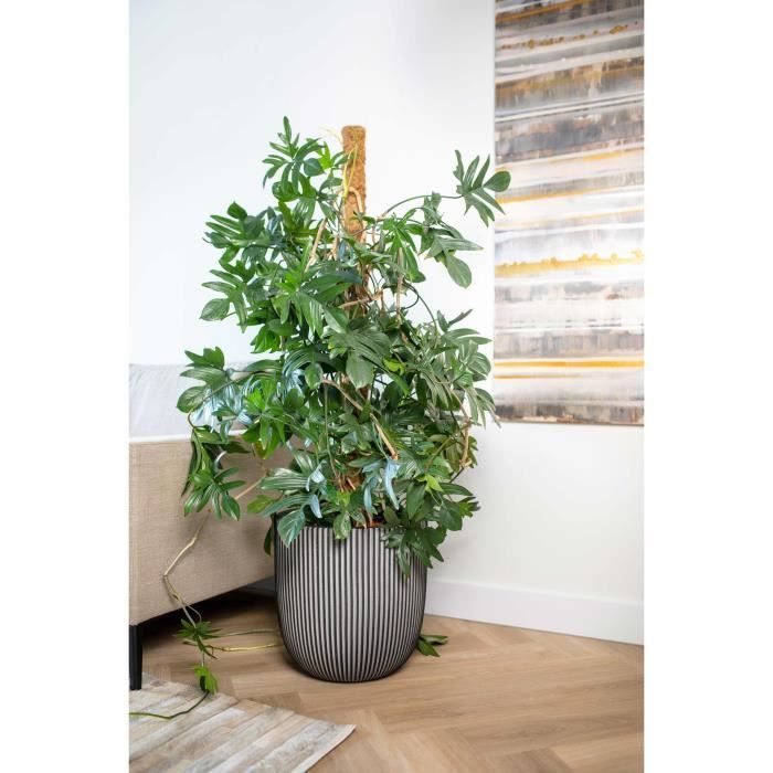 CAPI EUROPE GROOVE NL Ball Flower Pot - 43 x 41 cm - Anthracite