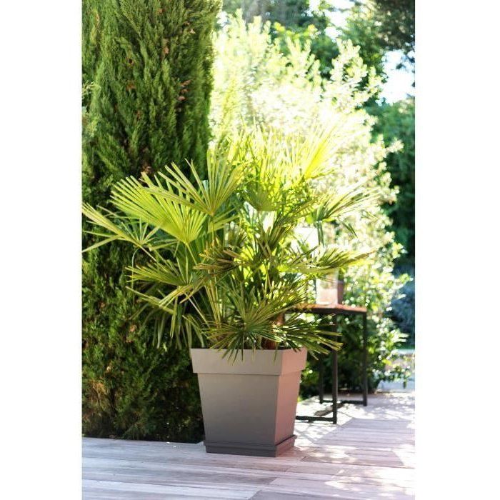 EDA Square Flower Pot - Tuscany - 50 cm - 87 L - 49.5 x 49.5 x H 52.5 cm - Taupe