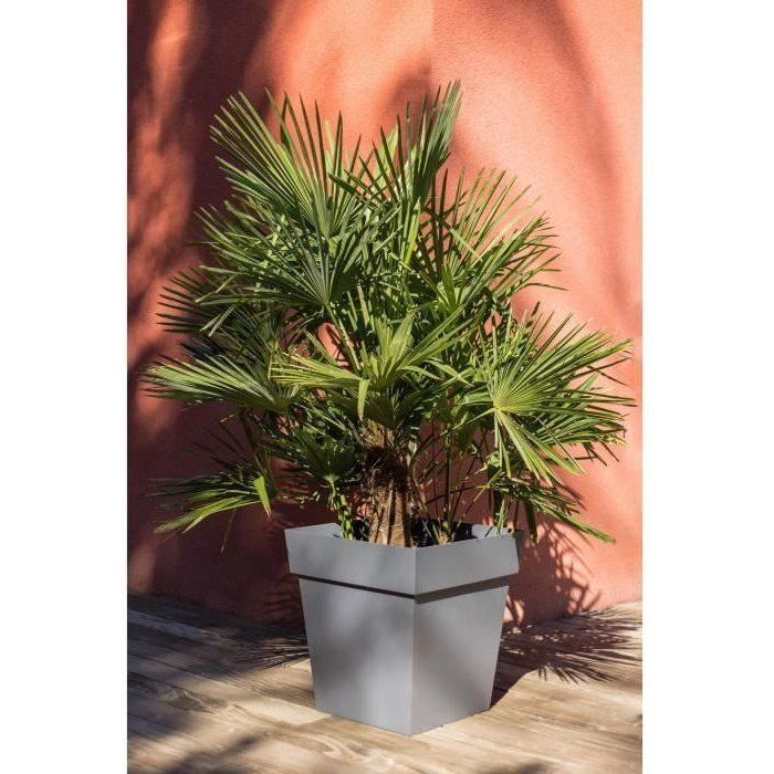 EDA Square Flower Pot - Tuscany - 50 cm - 87 L - 49.5 x 49.5 x H 52.5 cm - Anthracite Grey