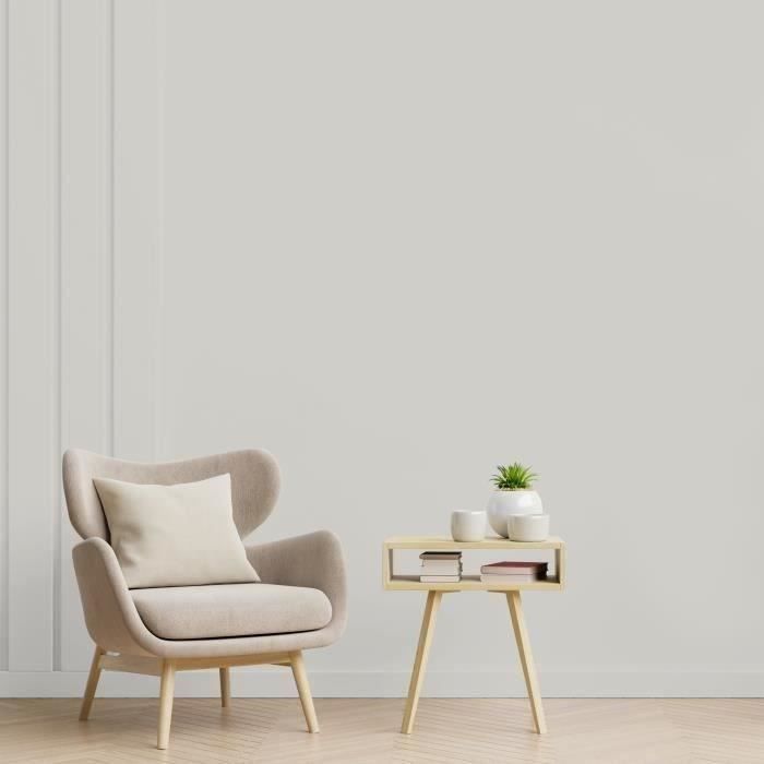 RIPOLIN Ultra Covering Satin Color Paint Cetus Gray