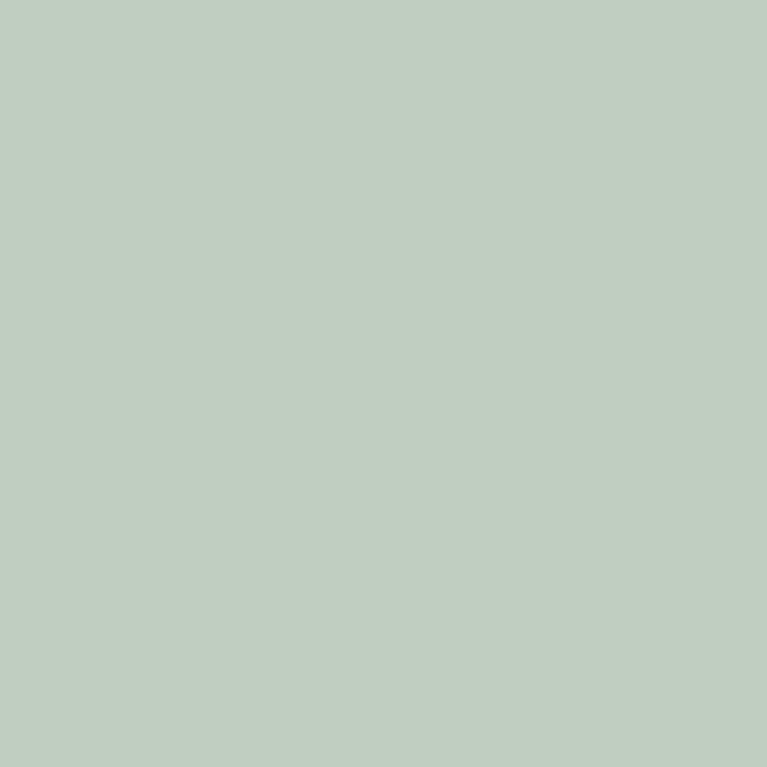 RIPOLIN Ultra-Covering Satin Paint - Palatino Green - For Kitchen, Bedroom, Living Room, Hallway