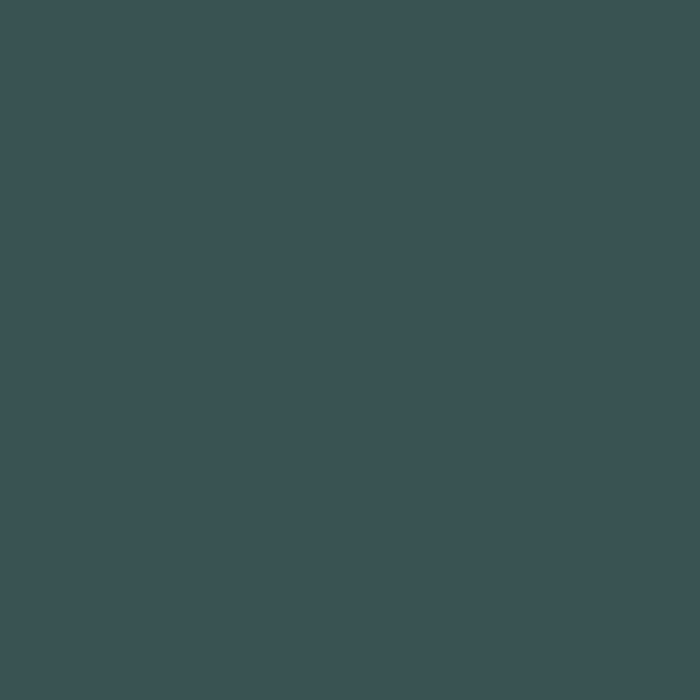 RIPOLIN Ultra Covering Matte Paint - Armerie Green - For Bedroom, Living Room, Dining Room