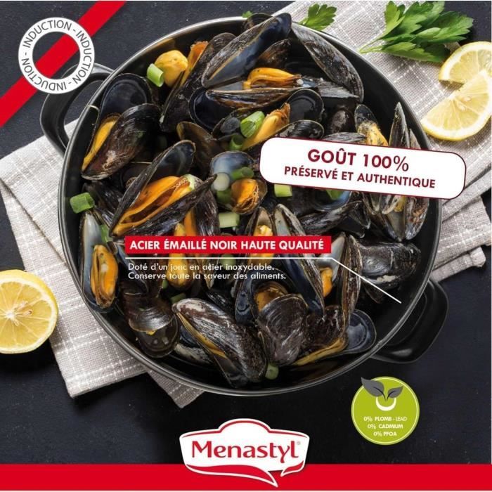 MENASTYL Mussel Pot - Enameled Steel - Black - 18 cm - 3645563