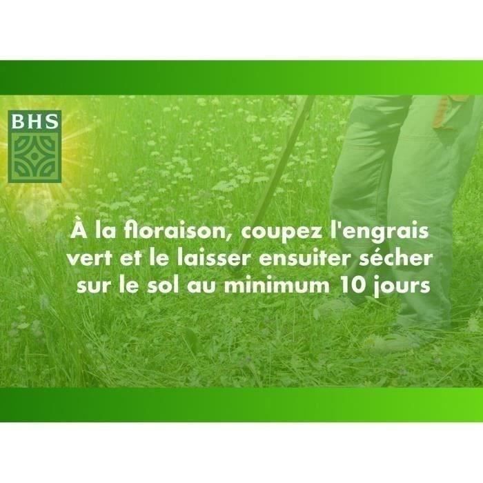 Trefle Blanc - BHS - 500 m²| Favorise la biodiversité, s'adapte a tous types de sols et résiste au piétinement.
