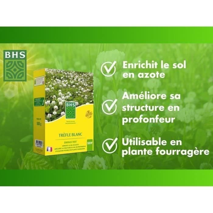 Trefle Blanc - BHS - 500 m²| Favorise la biodiversité, s'adapte a tous types de sols et résiste au piétinement.