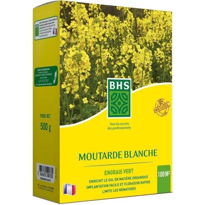 BHS Green Manure - White Mustard - 500 g 100 m² Improves soil fertility