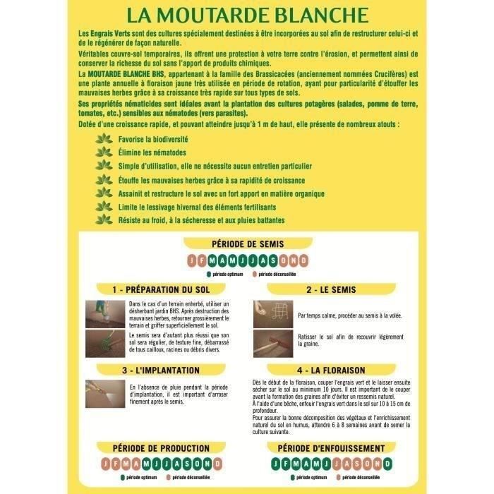 BHS Green Manure - White Mustard - 500 g 100 m² Improves soil fertility