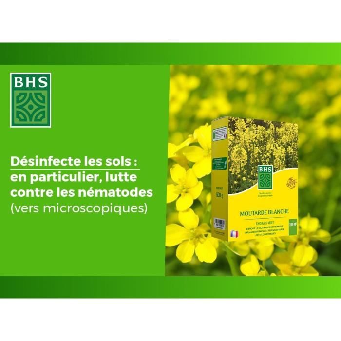 BHS Green Manure - White Mustard - 500 g 100 m² Improves soil fertility