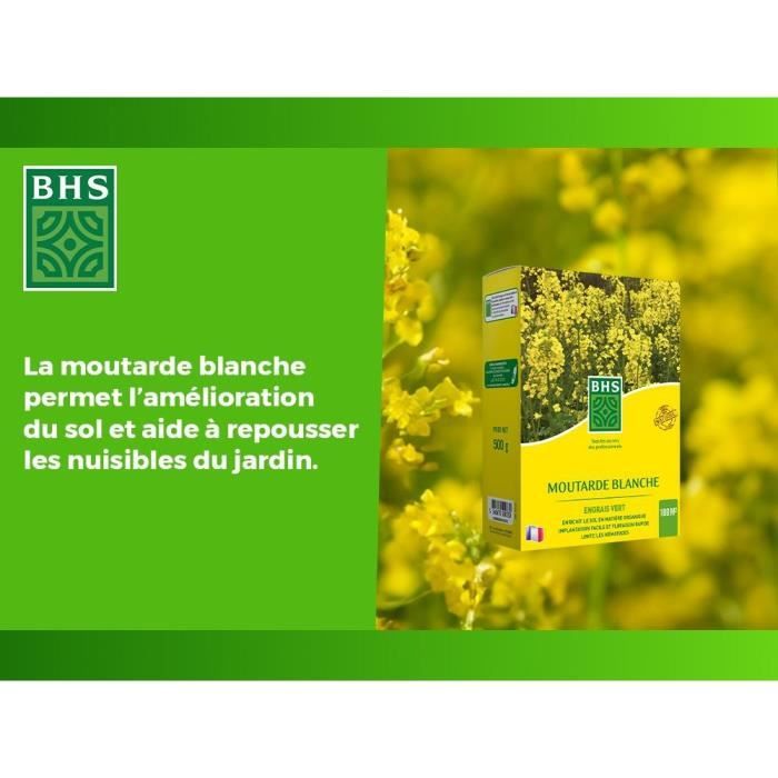 BHS Green Manure - White Mustard - 500 g 100 m² Improves soil fertility