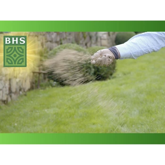 BHS Grass Seed - Lawn Reseeding - 5 kg