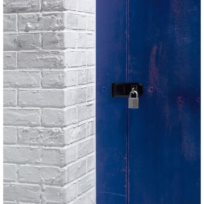 MASTER LOCK 40 mm Nickel-Plated Brass Padlock - Hexagonal Shackle - High Security