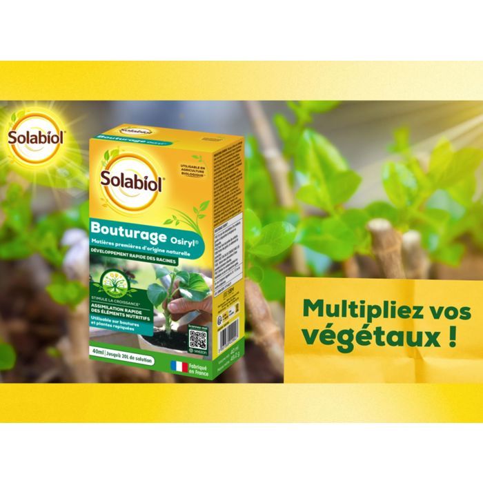 SOLABIOL Bouturage osiryl - 40ml - Jusqu'a 20L de solution - Stimulateur racinaire - Utilisable sur boutures & plantes repiquées