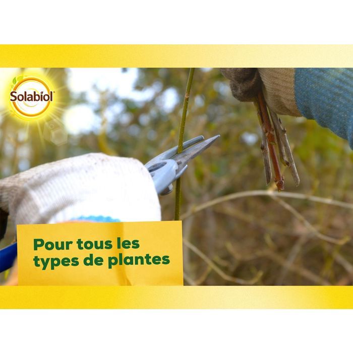 SOLABIOL Bouturage osiryl - 40ml - Jusqu'a 20L de solution - Stimulateur racinaire - Utilisable sur boutures & plantes repiquées