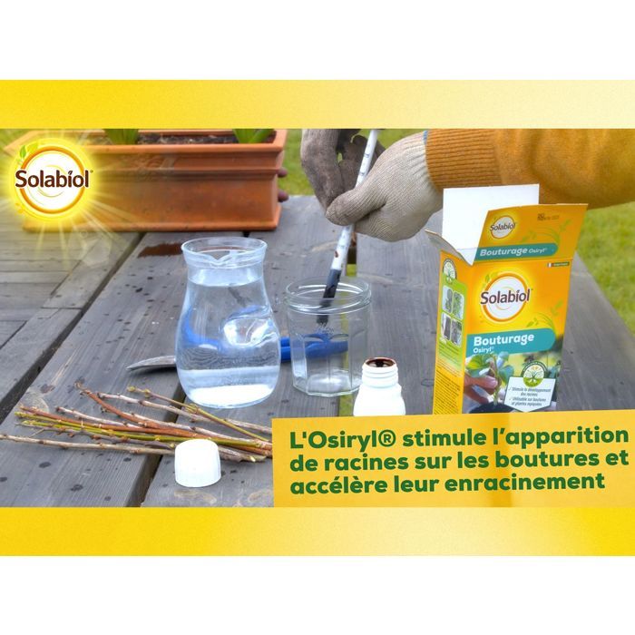 SOLABIOL Bouturage osiryl - 40ml - Jusqu'a 20L de solution - Stimulateur racinaire - Utilisable sur boutures & plantes repiquées