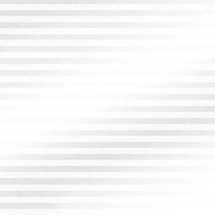 EASY PROTEC Window Film - 100 x 90 cm - Venetian Blind
