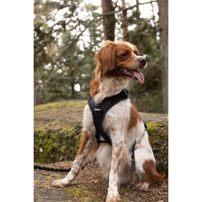 SYMBIOZ Dog Harness XXS Black/Blue for Free Movement
