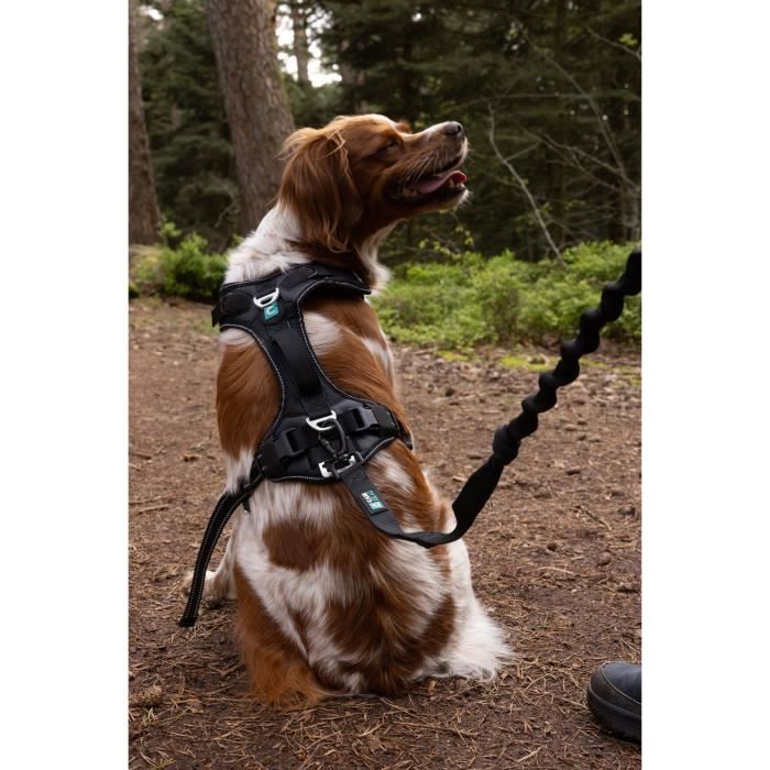 SYMBIOZ Dog Harness XXS Black/Blue for Free Movement