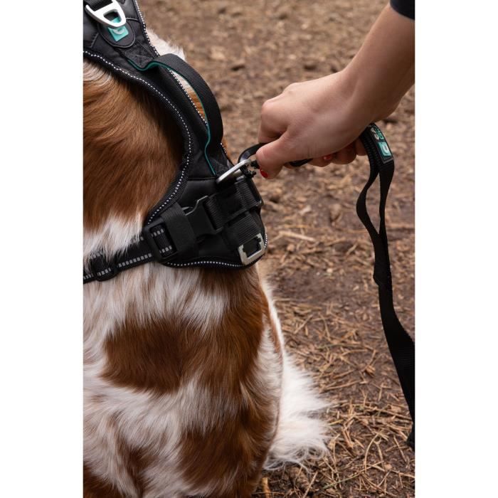 SYMBIOZ Dog Harness XXS Black/Blue for Free Movement