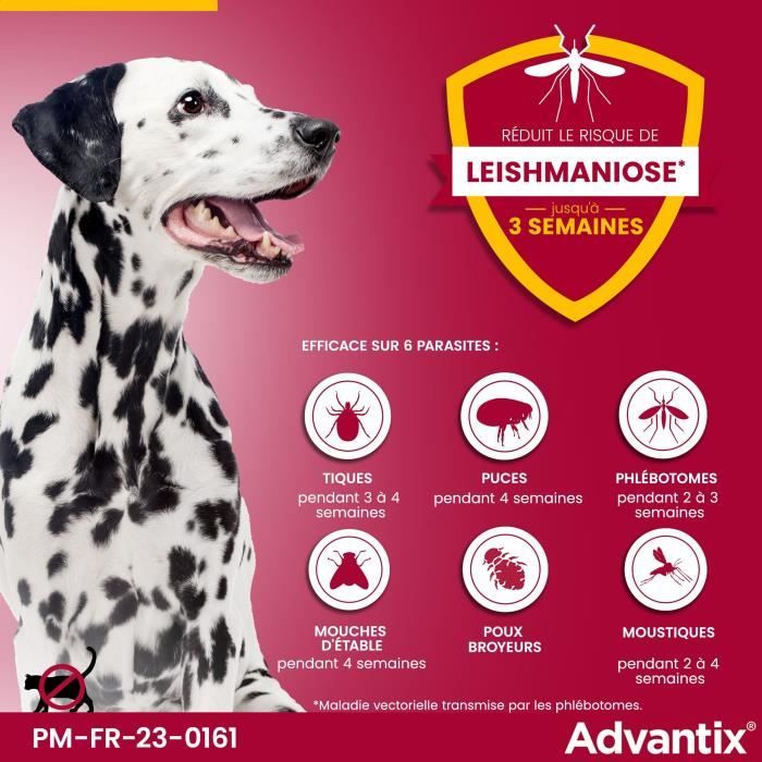Advantix Dog Flea and Tick Treatment for Large Breeds (25-40 kg) - 4 Pipettes