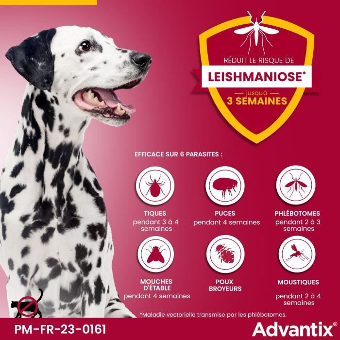ADVANTIX Dog Parasite Control Solution 25-40 kg - 6 Pipettes
