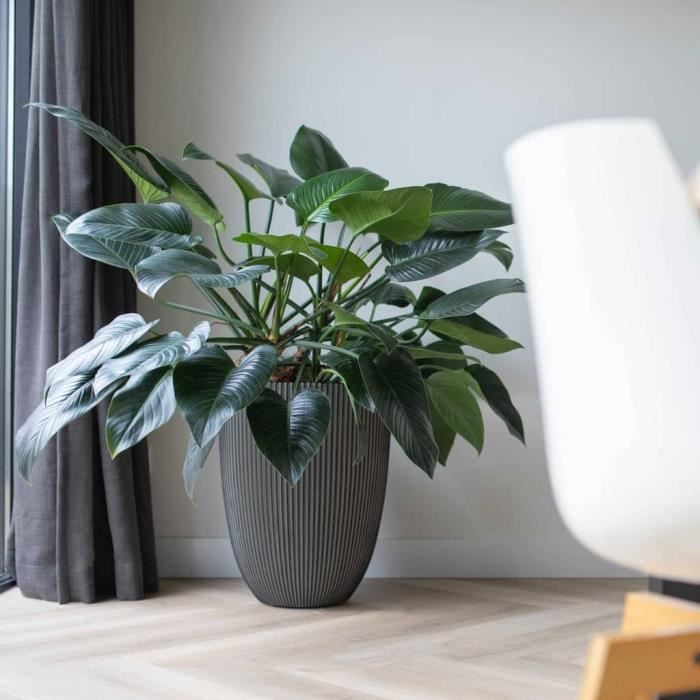CAPI EUROPE Elegant GROOVE Vase - 46x58 cm - Anthracite - 100% recyclable