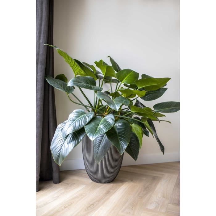 CAPI EUROPE Elegant GROOVE Vase - 46x58 cm - Anthracite - 100% recyclable